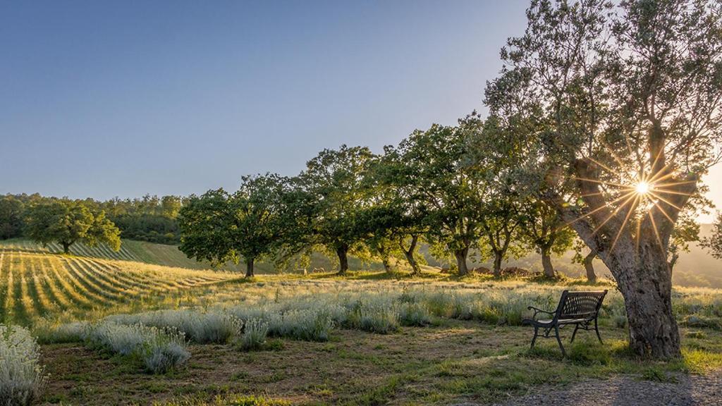 Il Poggio Di Teo Villa Manciano Bagian luar foto