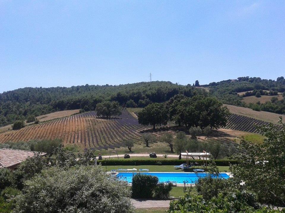 Il Poggio Di Teo Villa Manciano Bagian luar foto