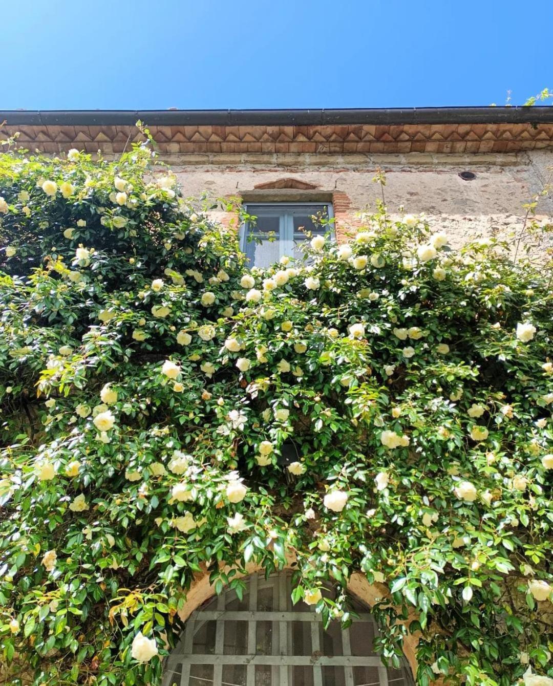 Il Poggio Di Teo Villa Manciano Bagian luar foto